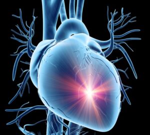 Zonas de frecuencia cardíaca: entrena con cabeza